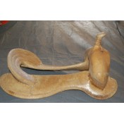 Rawhide Trail Saddle Tree